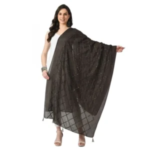 Elegant Chanderi Self Design Dupatta for Women - 1 Piece
